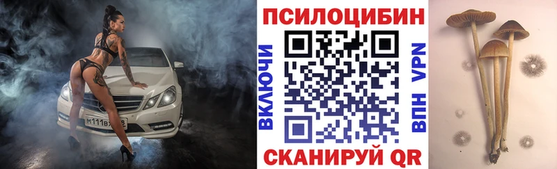 Галлюциногенные грибы MAGIC MUSHROOMS  Электрогорск 